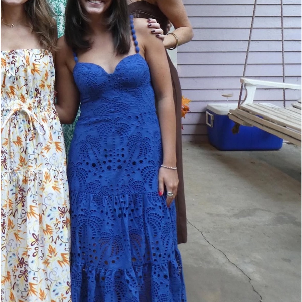 Farm Rio Blue Lace Dress (medium but altered to small)